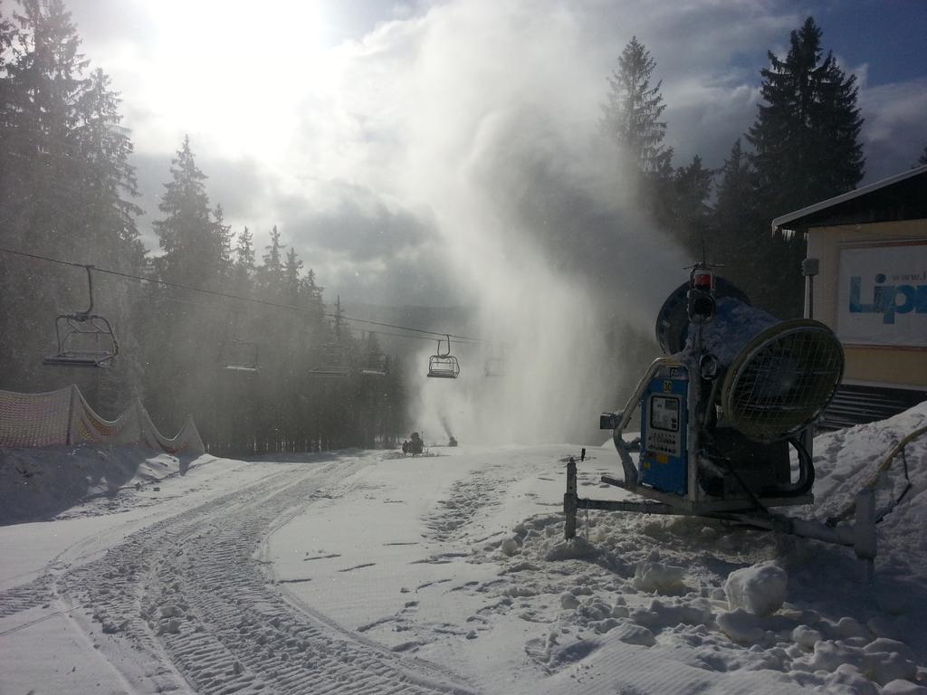 Ferienwohnung Mysi V Bote Lipno Lipno nad Vltavou Exterior foto